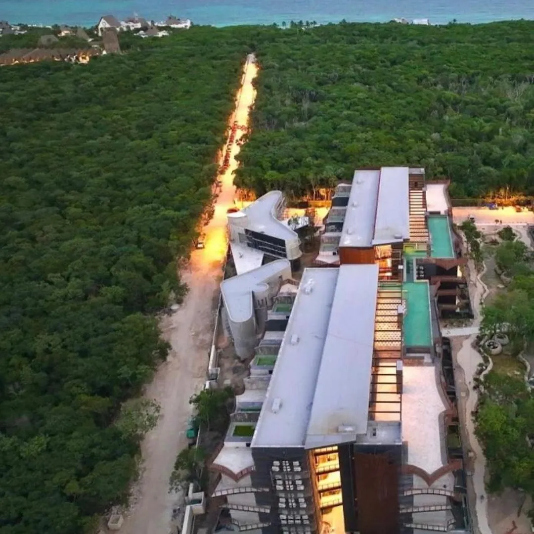 Monkey Lifestyle Apartment Tulum Mexico
