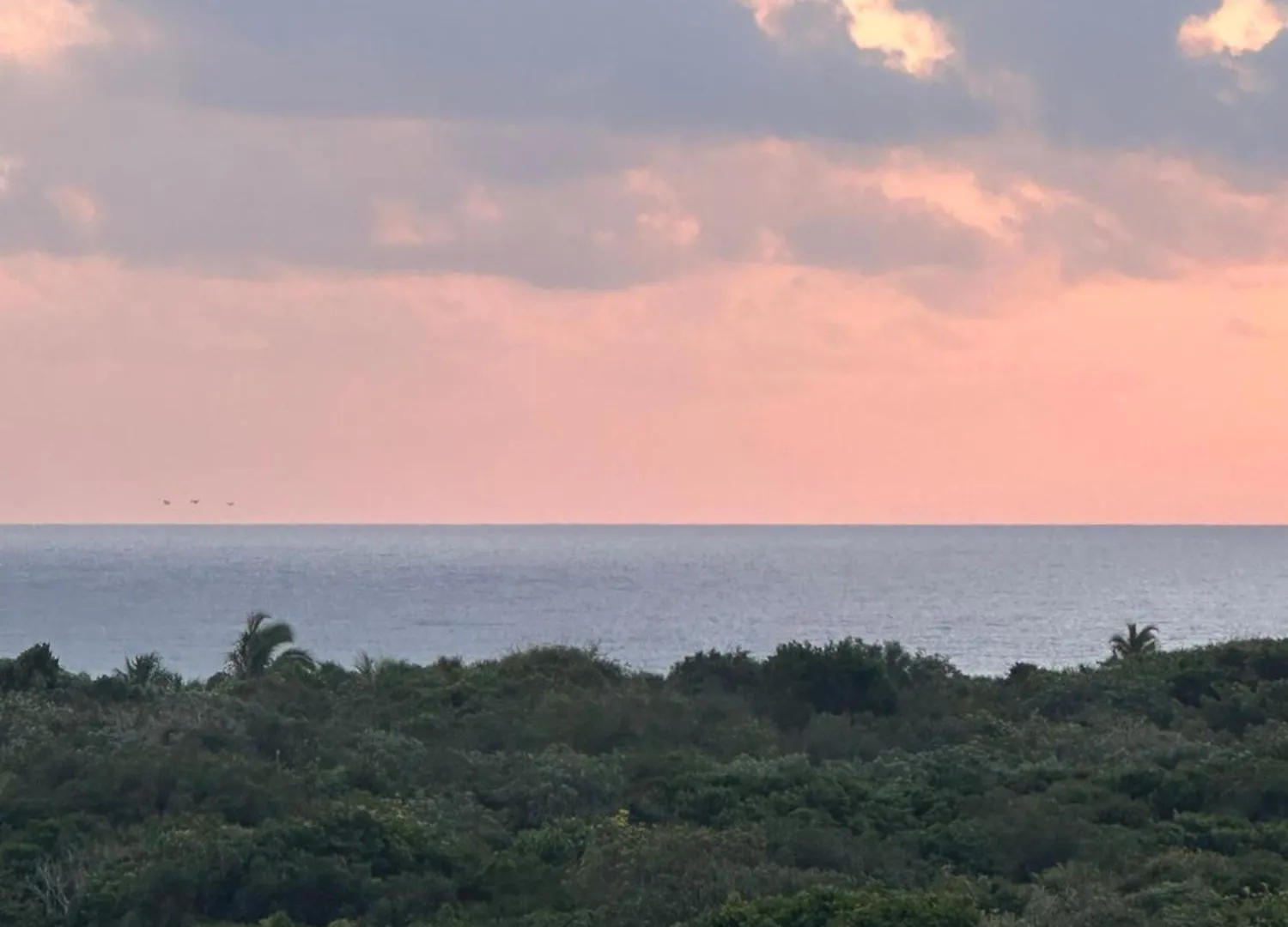 Monkey Lifestyle Apartment Tulum
