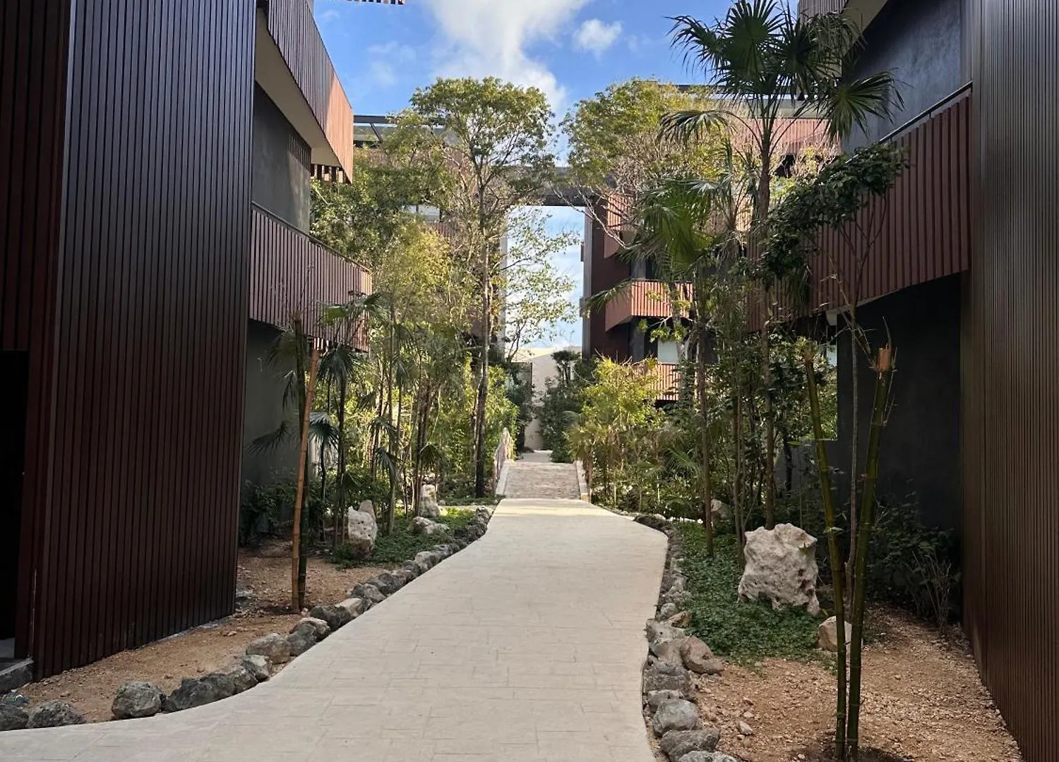 Monkey Lifestyle Apartment Tulum Mexico