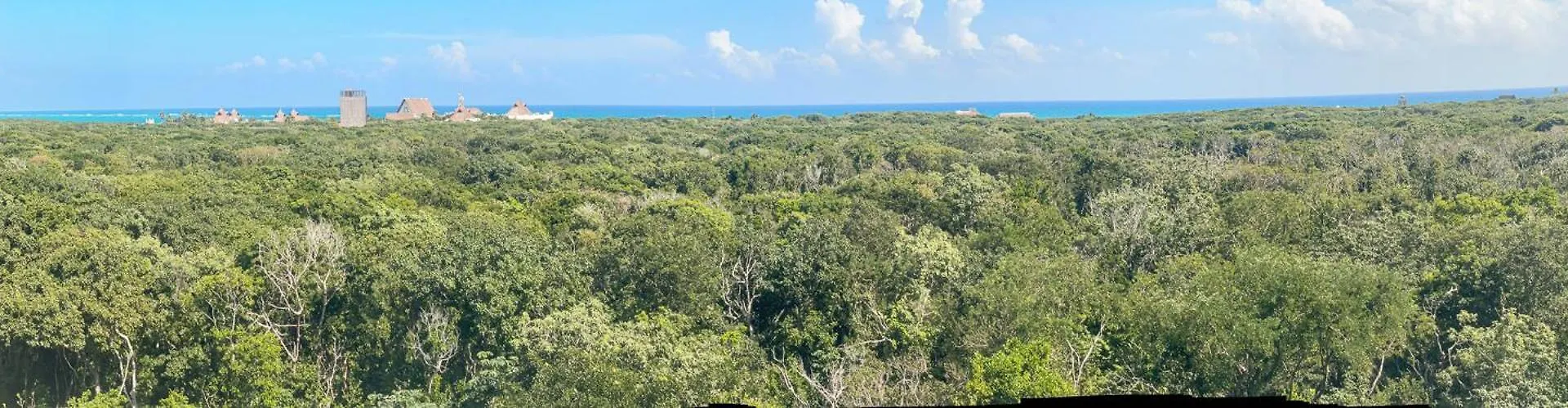 Monkey Lifestyle Apartment Tulum