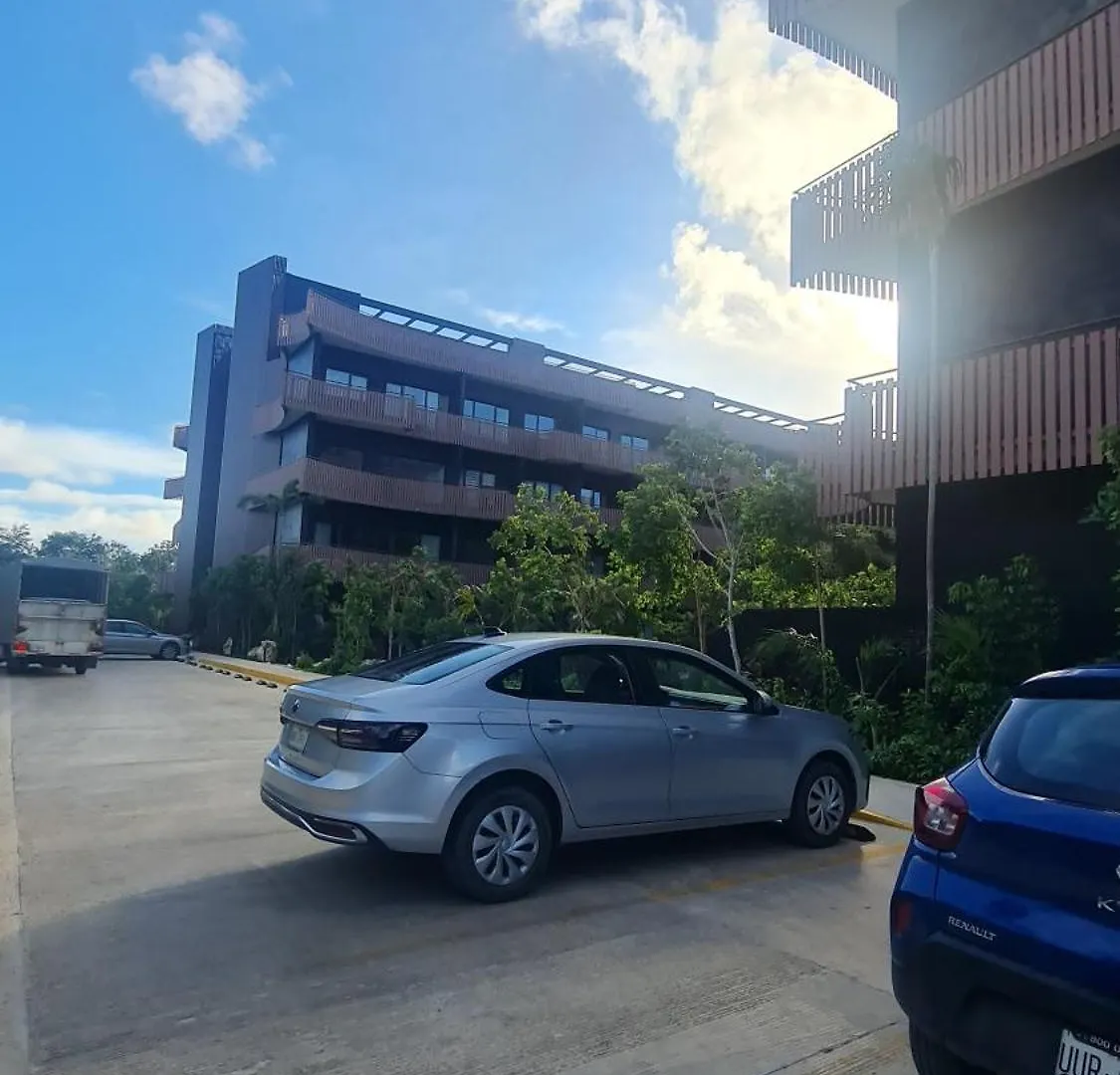 Monkey Lifestyle Apartment Tulum Mexico