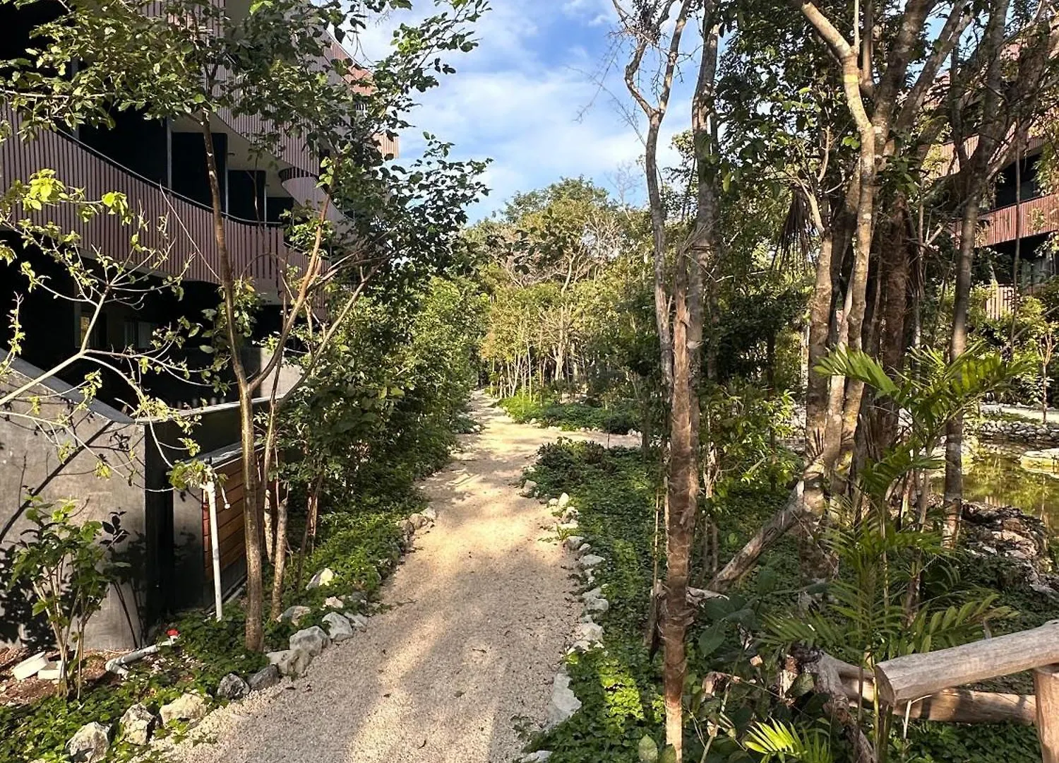 Monkey Lifestyle Apartment Tulum Mexico