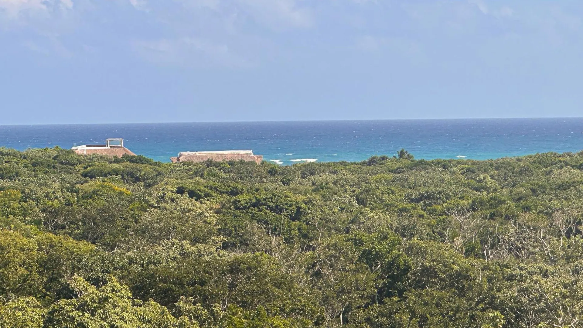 Monkey Lifestyle Apartment Tulum
